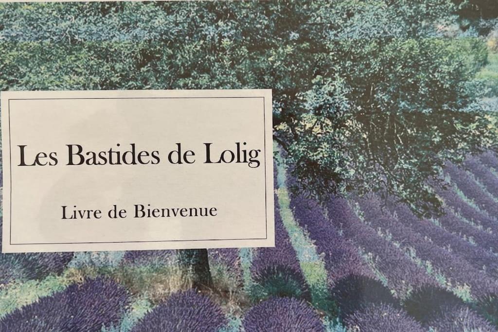 사리앙 La Bastide De Lolig - Clim - Wifi 빌라 외부 사진